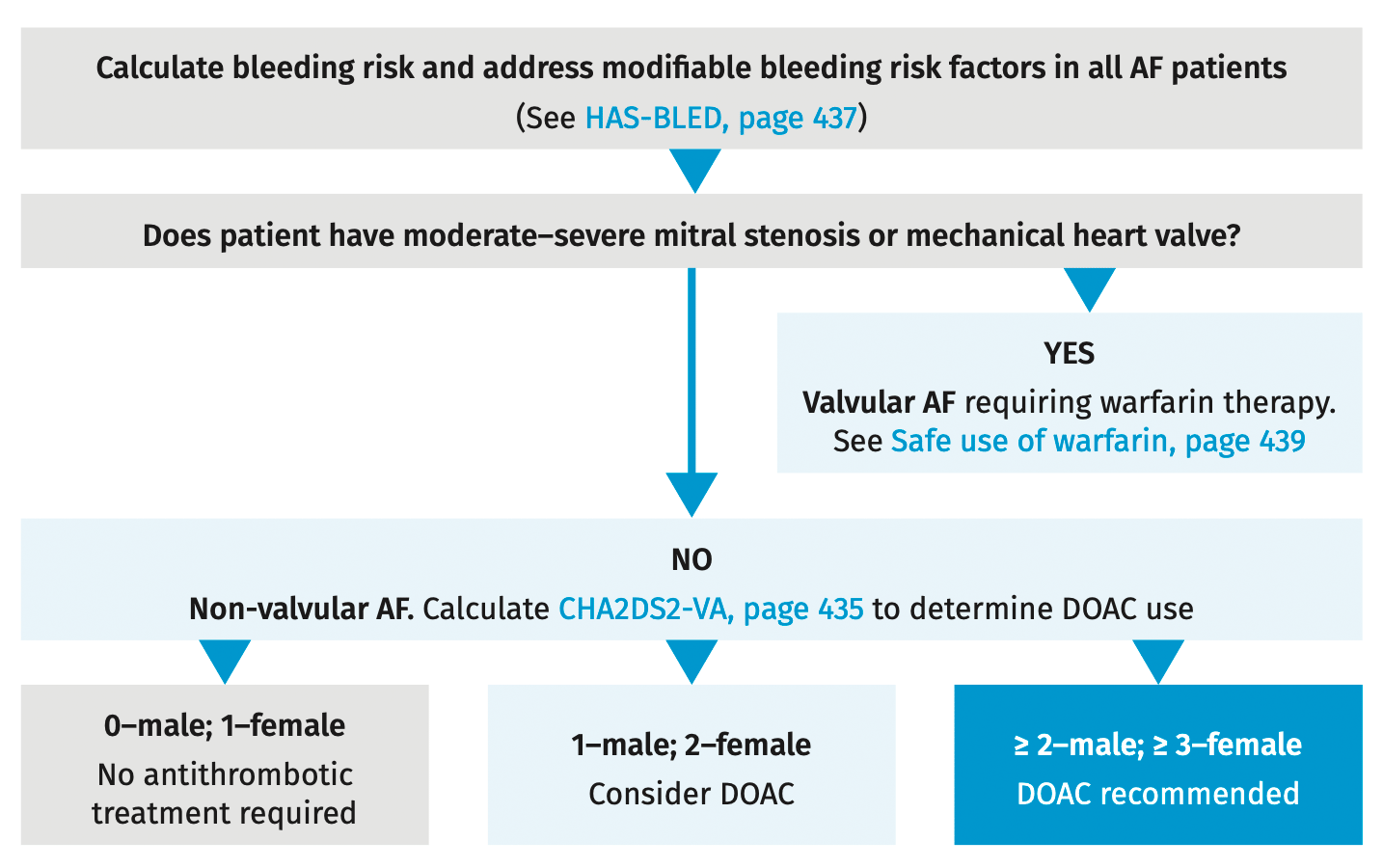 Antithrombotic therapy for patients with AF
