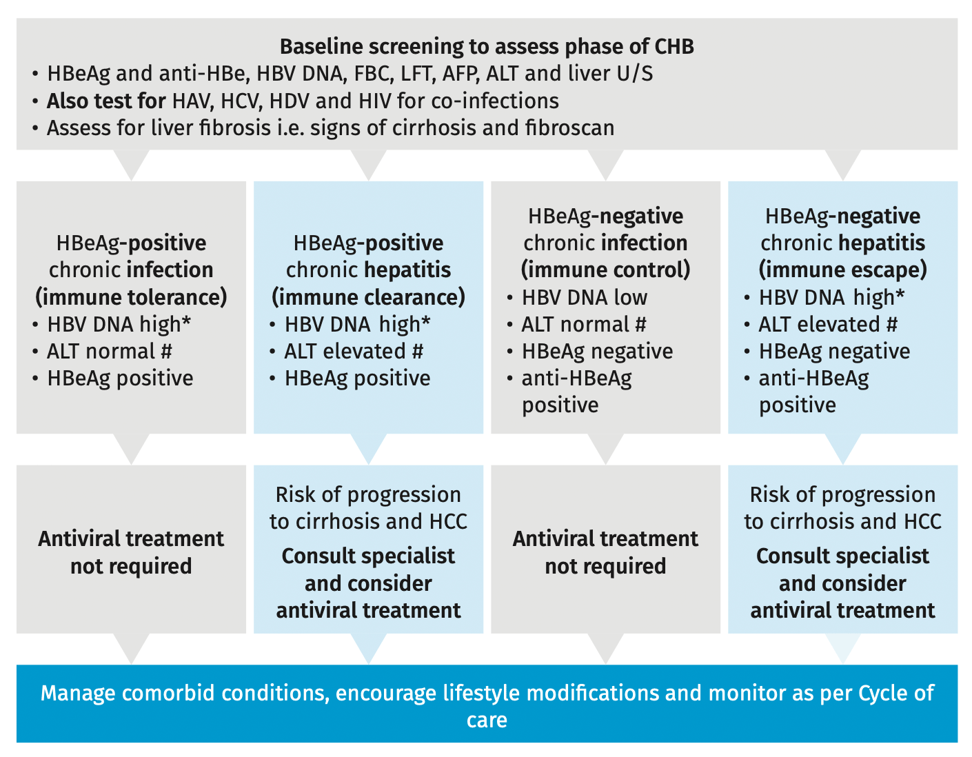 Assessment of CHB to determine pharmacological treatment
